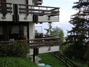 Friendly Apartment With Mountain Views